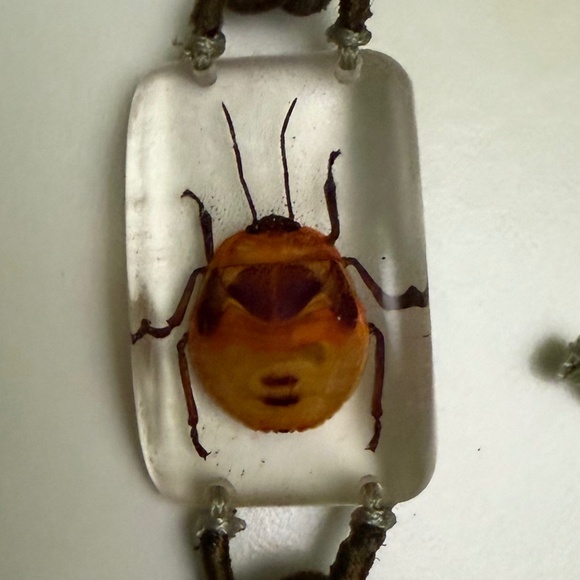 Flower Bug Bracelet - Real Insect Jewelry encased in Resin - Picture 2 of 4
